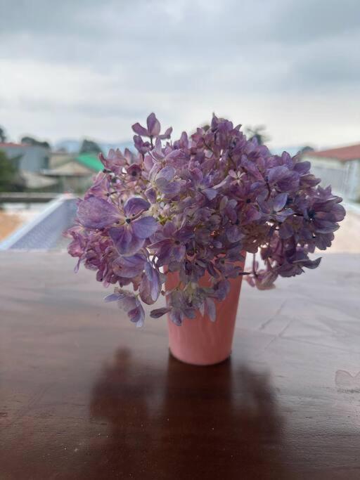 Jason Farm Villa Pacet  Εξωτερικό φωτογραφία